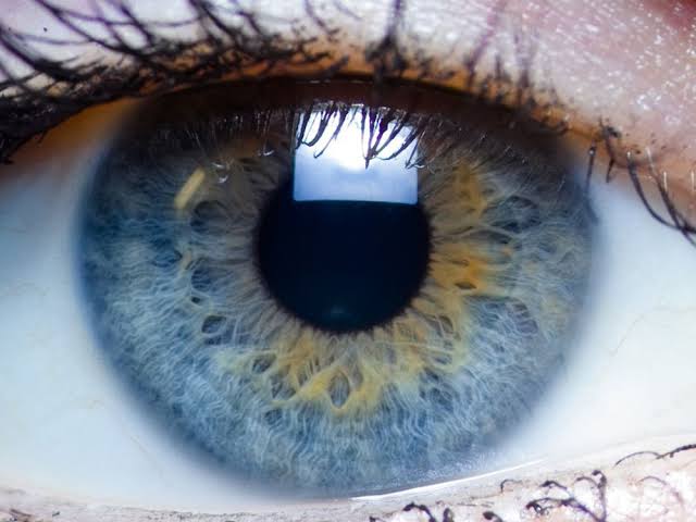 Corneal Disorders